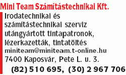   - Mini Team Számítástechnikai Kft.